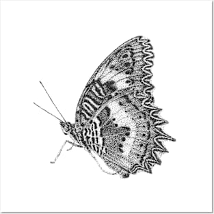 Red Lacewing Butterfly Posters and Art